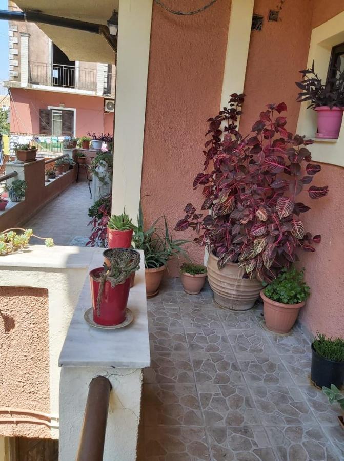 Apartment Eugenia Perama (Corfu)